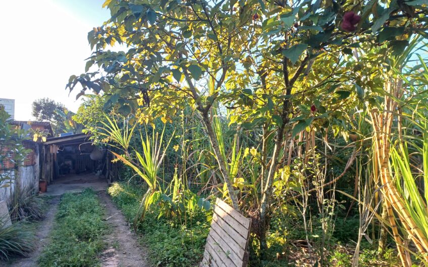 TERRENO – BAIRRO ITAUM = 462 m²